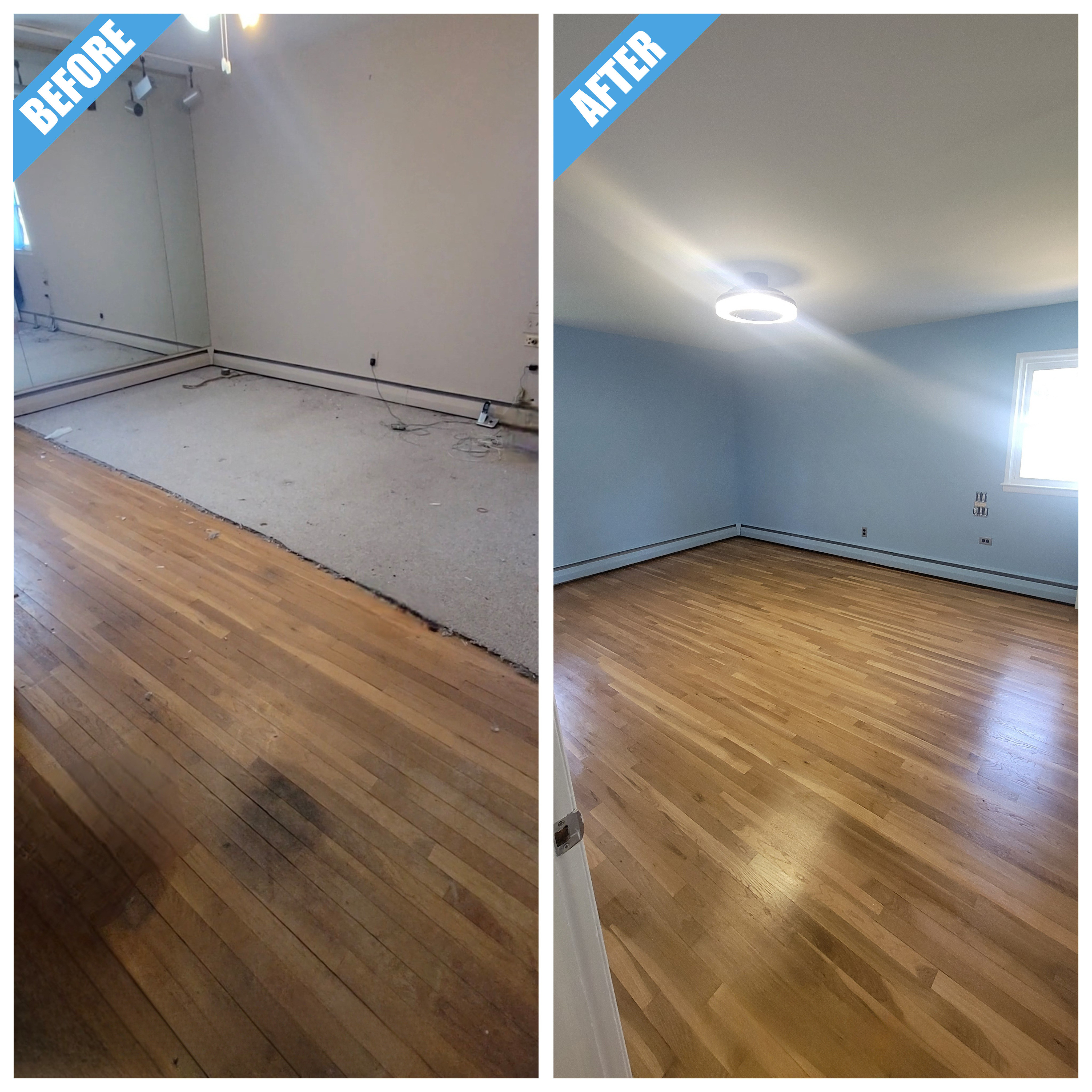 Before and after of a primary bedroom remodel in Port Washington, NY: carpet removed, wood floor refinished and walls painted pale blue